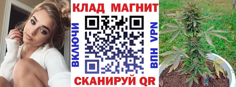 Альфа ПВП Кодинск