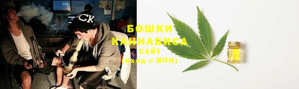 метадон Белокуриха