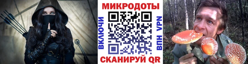 Галлюциногенные грибы MAGIC MUSHROOMS  дарнет шоп  Кодинск 